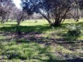 /album/papudo/fb-img-1445036088071-jpg/