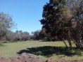 /album/papudo/fb-img-1445036106691-jpg/
