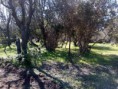 /album/papudo/fb-img-1445036109093-jpg/