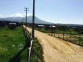 /album/fotogaleria-home/a001papu-jpg/